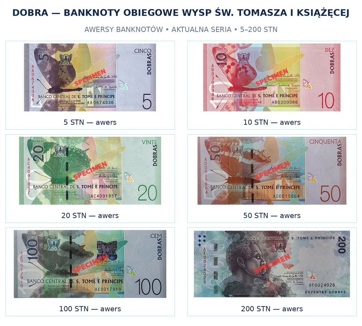 STN tył - awers